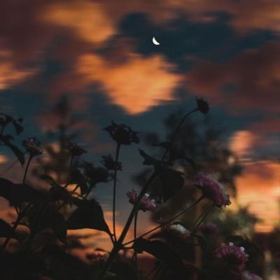 亚博·yabo下载手机版